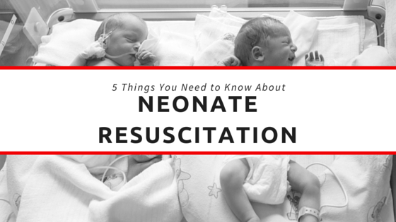 neonate resuscitation