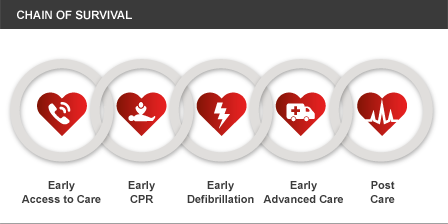 The CPR chain of survival