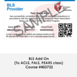 BLS-Add-On-(To-ACLS,-PALS,-PEARS-class)-Course-#403732