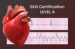 EKG Certification Level 4