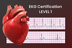 EKG Certification Level 1