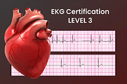 EKG Certification Level 3