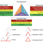 PALS Pediatric Assessment Triangle (PAT)