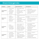 The-Ultimate-PALS-Study-Guide-Infographic-SureFire-CPR