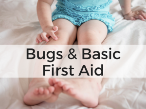 bugs and basic first aid