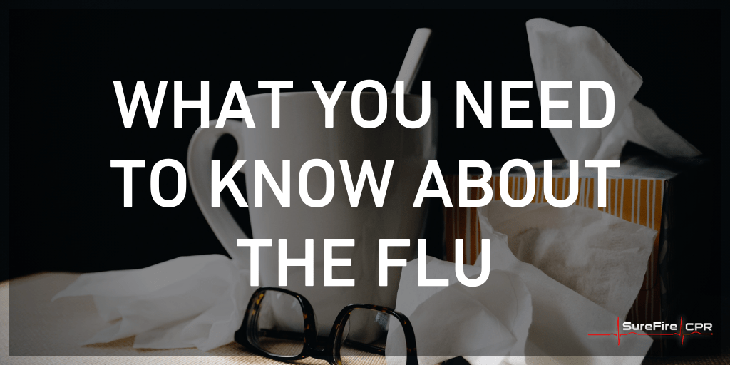 What You Need to Know About the Flu